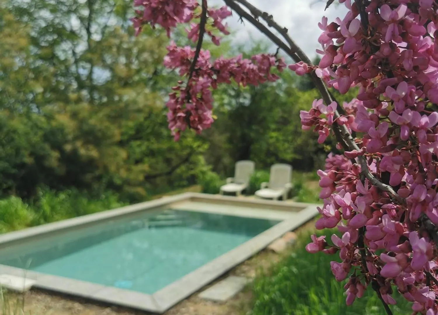 Les Iris Des Rieux Villa Les Salelles France