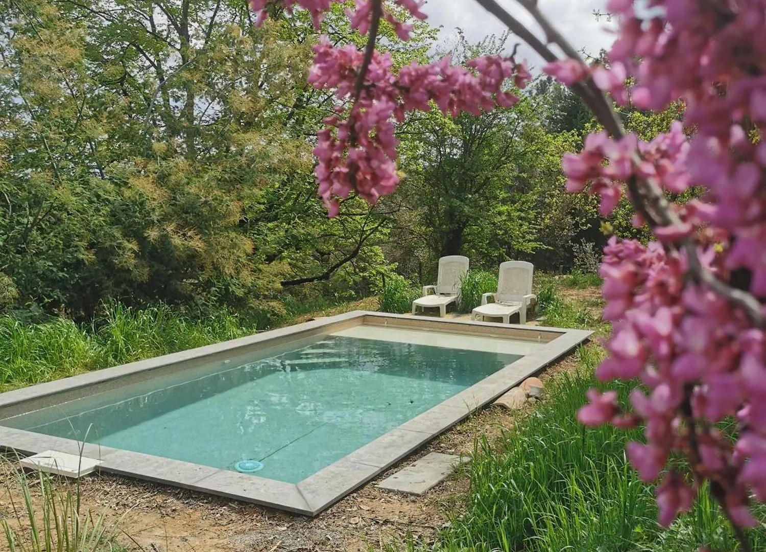 Les Iris Des Rieux Villa Les Salelles